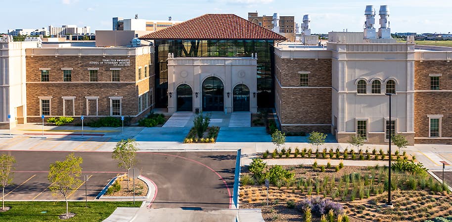 Texas Tech School of Veterinary Medicine — Amarillo